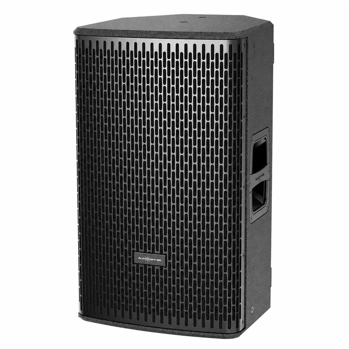 AUDIOCENTER DS12 – רמקול פסיבי מקצועי 12״ | 400W